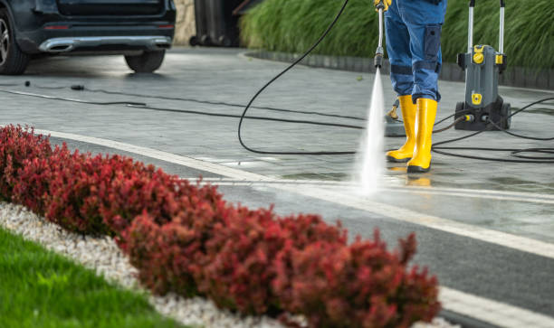 Best Animal Enclosure Cleaning  in Edgerton, WI